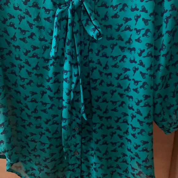 Green Sheer Button Down Tunic - Picture 3 of 3
